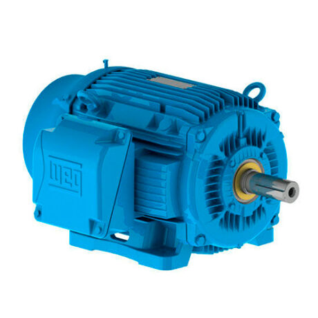 526335-MOTOR-TRIF-d-2P3600RPM-0,50CV0,37KW---220-380V---W22-PLUS---11397860